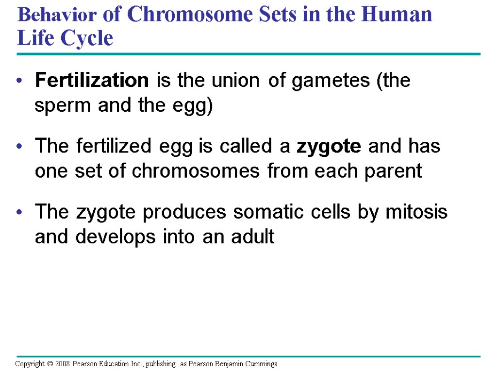 Fertilization is the union of gametes (the sperm and the egg) The fertilized egg